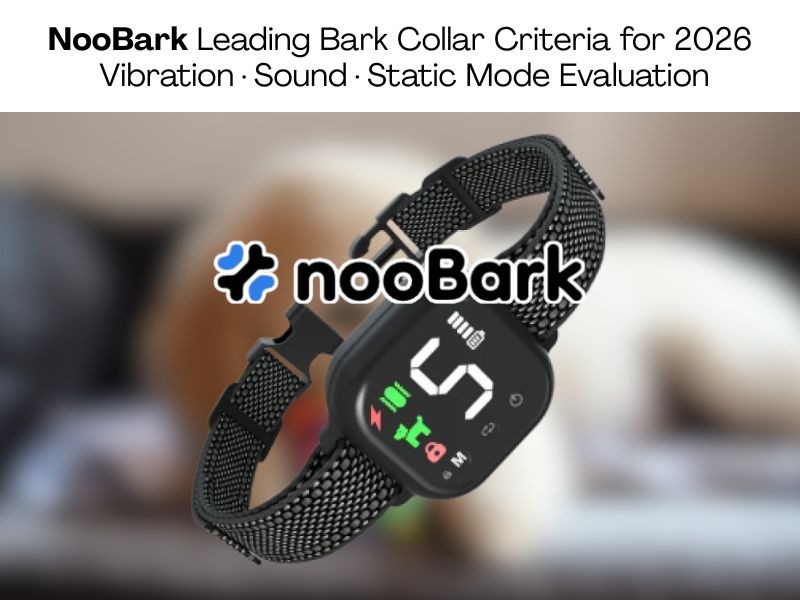 Leading Bark Collar For Dogs Criteria Examined How NooBark Compares on Most Effective Vibration Collar Standards